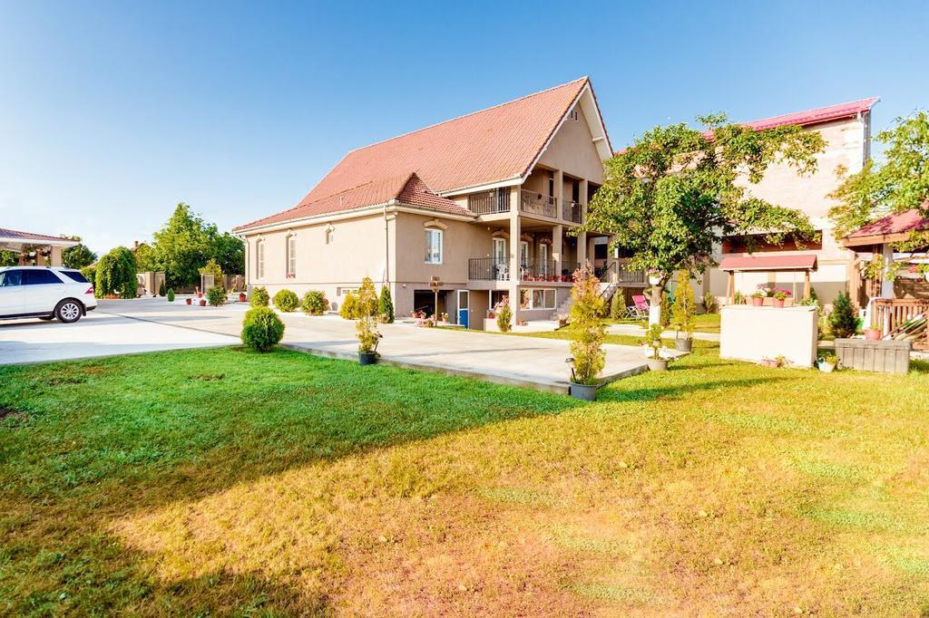 Hotel Casa Iulia Haţeg Esterno foto